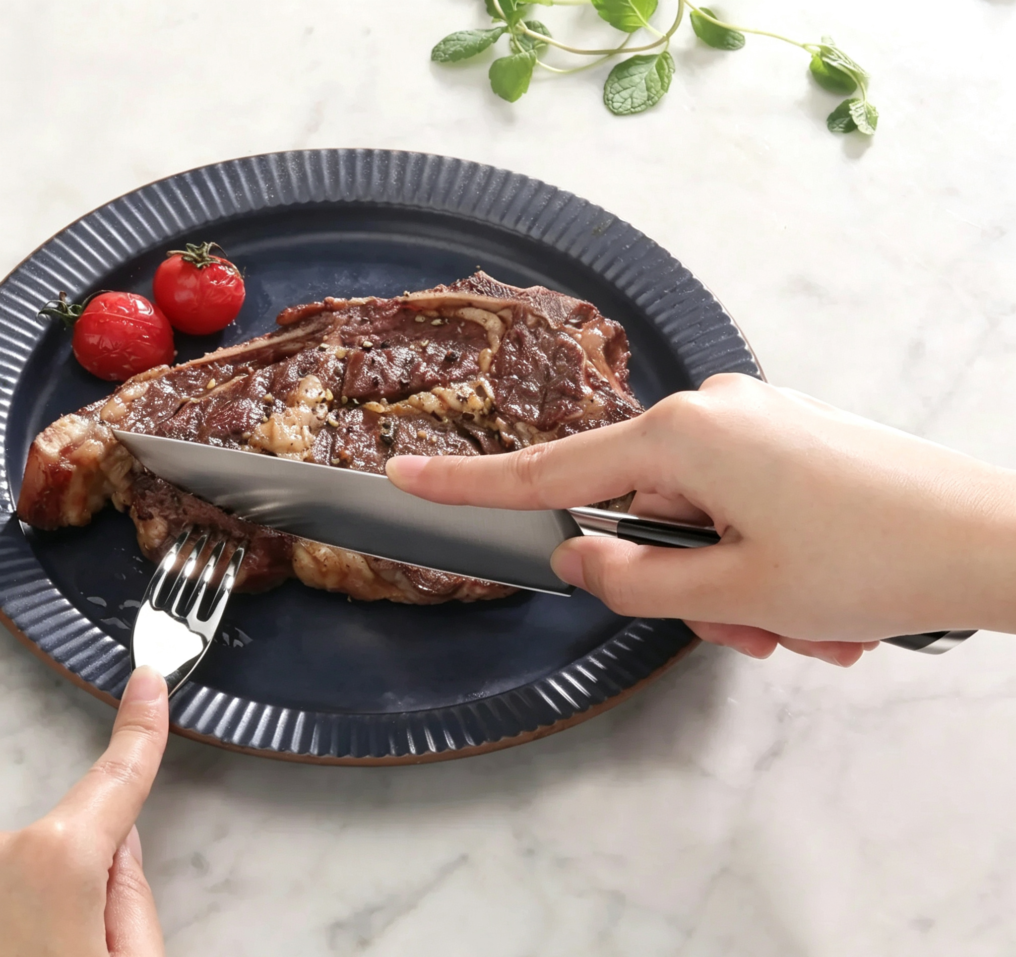 Ensemble de 4 couteaux à steak - Acier allemand