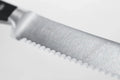 Couteau utilitaire dentelé 5" - Acier allemand forgé