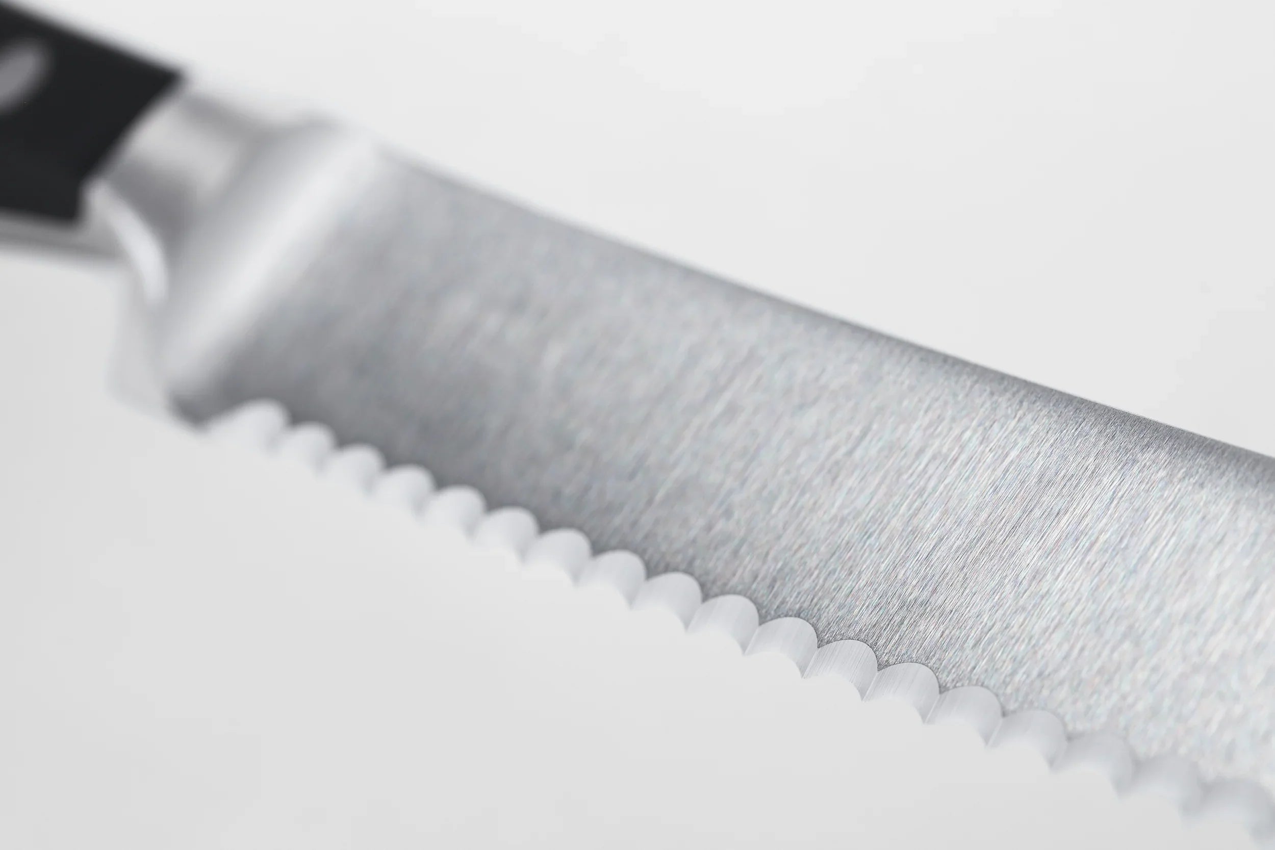 Couteau utilitaire dentelé 5" - Acier allemand forgé